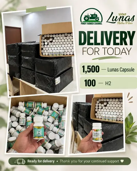 Boxes of Lunas capsules and H2 tablets packed for delivery