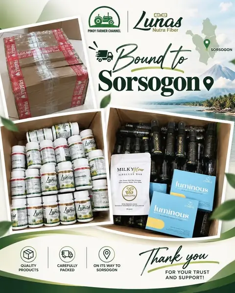 Opened boxes of Lunas products packed for a shipment to Sorsogon